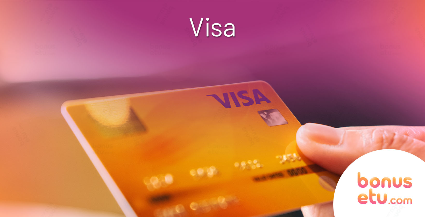 Visa maksutapa