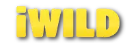 i Wild Casino